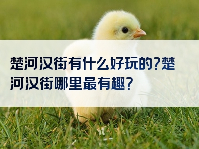 楚河汉街有什么好玩的？楚河汉街哪里最有趣？