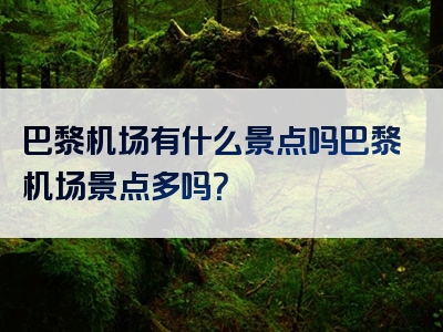 巴黎机场有什么景点吗巴黎机场景点多吗？
