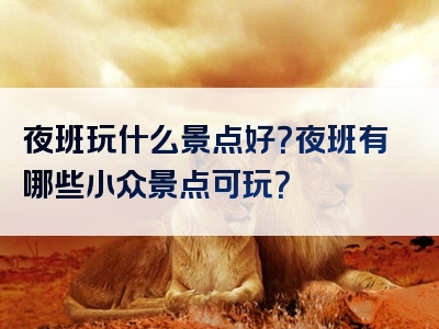 夜班玩什么景点好？夜班有哪些小众景点可玩？
