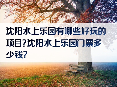 沈阳水上乐园有哪些好玩的项目？沈阳水上乐园门票多少钱？
