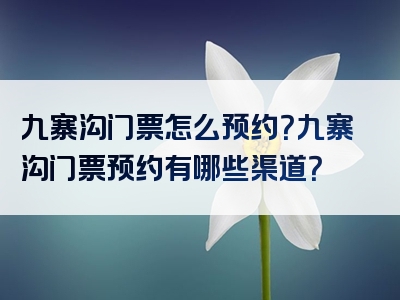 九寨沟门票怎么预约？九寨沟门票预约有哪些渠道？