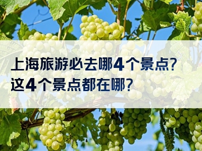 上海旅游必去哪4个景点？这4个景点都在哪？