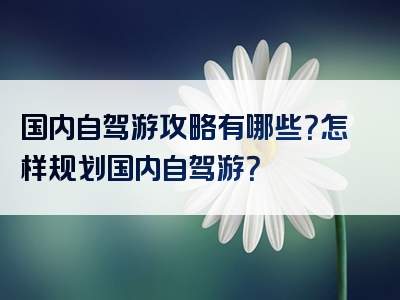 国内自驾游攻略有哪些？怎样规划国内自驾游？