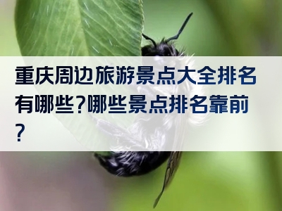 重庆周边旅游景点大全排名有哪些？哪些景点排名靠前？