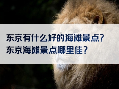 东京有什么好的海滩景点？东京海滩景点哪里佳？
