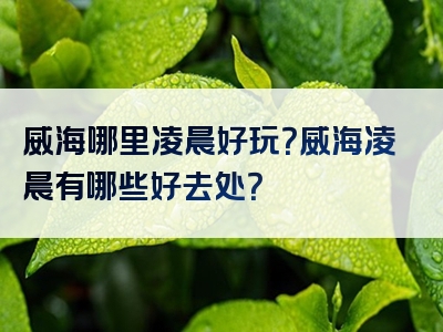 威海哪里凌晨好玩？威海凌晨有哪些好去处？