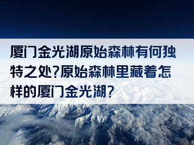 厦门金光湖原始森林有何独特之处？原始森林里藏着怎样的厦门金光湖？