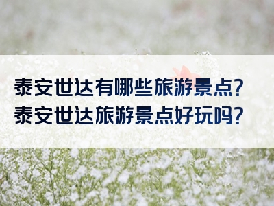 泰安世达有哪些旅游景点？泰安世达旅游景点好玩吗？