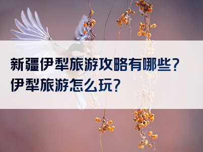 新疆伊犁旅游攻略有哪些？伊犁旅游怎么玩？