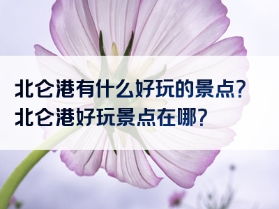 北仑港有什么好玩的景点？北仑港好玩景点在哪？