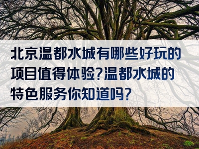 北京温都水城有哪些好玩的项目值得体验？温都水城的特色服务你知道吗？