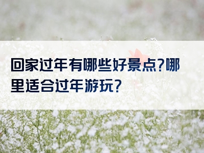 回家过年有哪些好景点？哪里适合过年游玩？