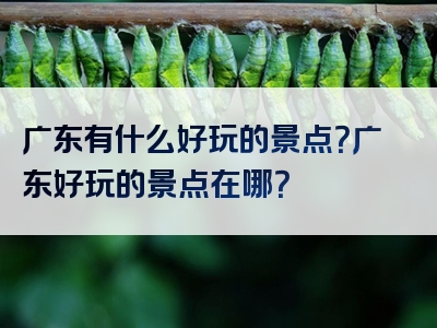 广东有什么好玩的景点？广东好玩的景点在哪？