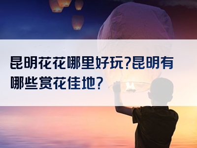 昆明花花哪里好玩？昆明有哪些赏花佳地？