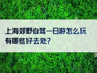 上海郊野自驾一日游怎么玩有哪些好去处？