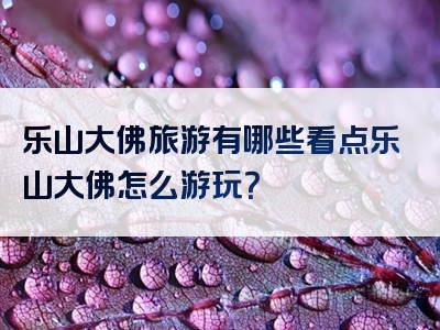 乐山大佛旅游有哪些看点乐山大佛怎么游玩？