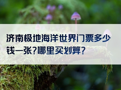 济南极地海洋世界门票多少钱一张？哪里买划算？