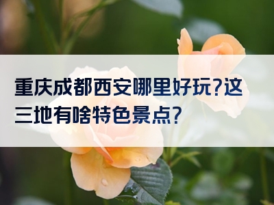 重庆成都西安哪里好玩？这三地有啥特色景点？
