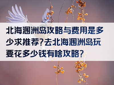 北海涠洲岛攻略与费用是多少求推荐？去北海涠洲岛玩要花多少钱有啥攻略？