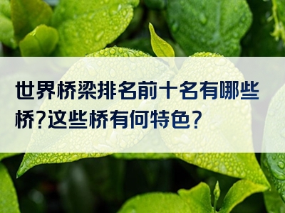 世界桥梁排名前十名有哪些桥？这些桥有何特色？