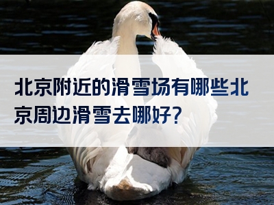 北京附近的滑雪场有哪些北京周边滑雪去哪好？
