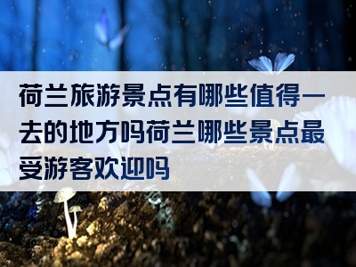 荷兰旅游景点有哪些值得一去的地方吗荷兰哪些景点最受游客欢迎吗