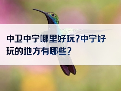 中卫中宁哪里好玩？中宁好玩的地方有哪些？