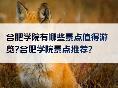 合肥学院有哪些景点值得游览？合肥学院景点推荐？