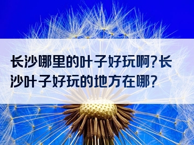 长沙哪里的叶子好玩啊？长沙叶子好玩的地方在哪？