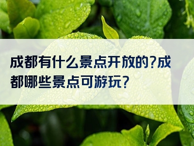 成都有什么景点开放的？成都哪些景点可游玩？