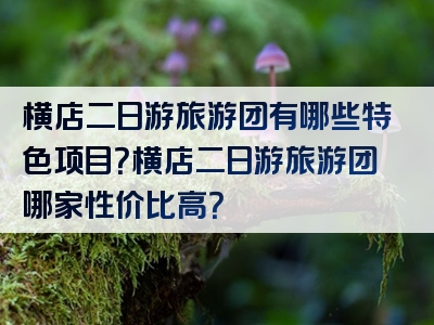 横店二日游旅游团有哪些特色项目？横店二日游旅游团哪家性价比高？