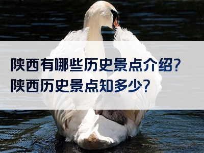 陕西有哪些历史景点介绍？陕西历史景点知多少？