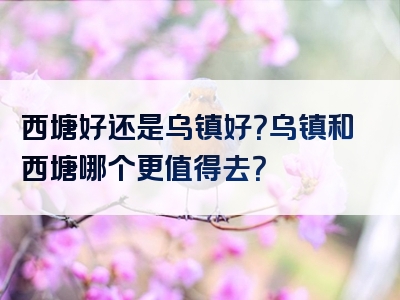 西塘好还是乌镇好？乌镇和西塘哪个更值得去？