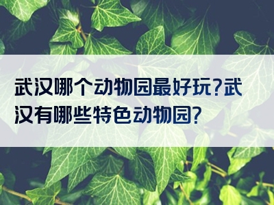 武汉哪个动物园最好玩？武汉有哪些特色动物园？