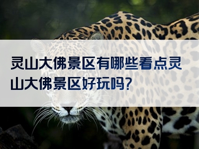 灵山大佛景区有哪些看点灵山大佛景区好玩吗？
