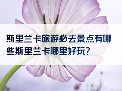 斯里兰卡旅游必去景点有哪些斯里兰卡哪里好玩？