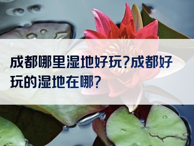 成都哪里湿地好玩？成都好玩的湿地在哪？
