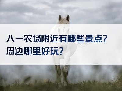 八一农场附近有哪些景点？周边哪里好玩？
