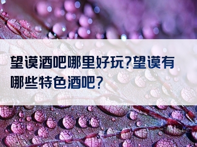 望谟酒吧哪里好玩？望谟有哪些特色酒吧？