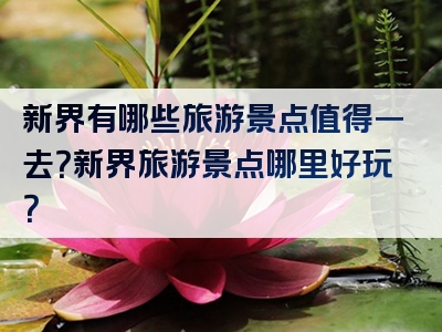 新界有哪些旅游景点值得一去？新界旅游景点哪里好玩？