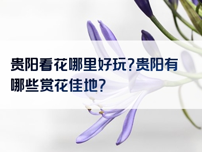 贵阳看花哪里好玩？贵阳有哪些赏花佳地？