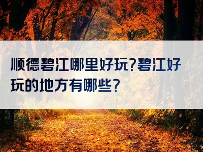顺德碧江哪里好玩？碧江好玩的地方有哪些？
