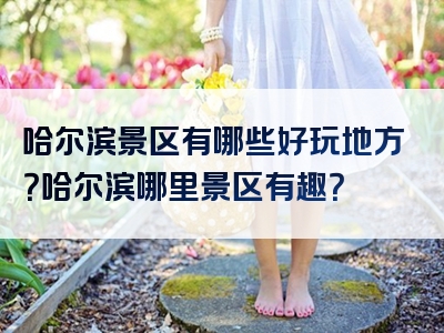 哈尔滨景区有哪些好玩地方？哈尔滨哪里景区有趣？
