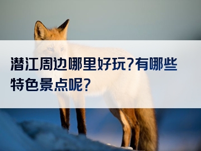 潜江周边哪里好玩？有哪些特色景点呢？