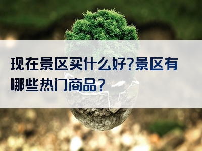 现在景区买什么好？景区有哪些热门商品？