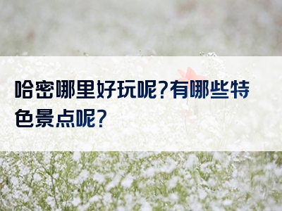 哈密哪里好玩呢？有哪些特色景点呢？
