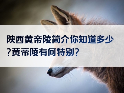 陕西黄帝陵简介你知道多少？黄帝陵有何特别？