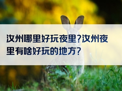 汝州哪里好玩夜里？汝州夜里有啥好玩的地方？