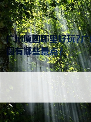广州厦圆哪里好玩？广州厦圆有哪些景点？