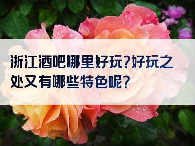 浙江酒吧哪里好玩？好玩之处又有哪些特色呢？
